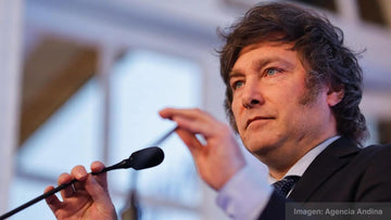 Las posiciones del candidato Javier Milei