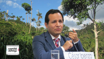Congreso aprueba la cuestionada Ley Forestal