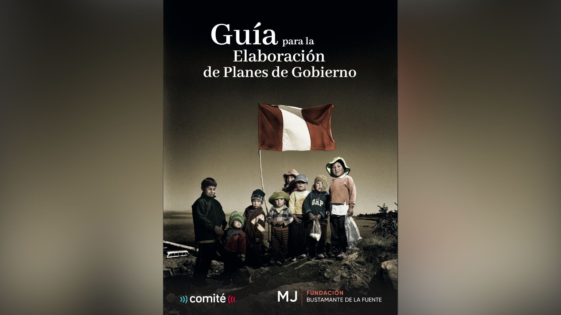 Nuevo libro de Comité: Guía para la Elaboración de Planes de Gobierno