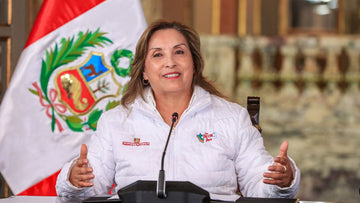 Tribunal Constitucional suspende investigaciones contra Dina Boluarte