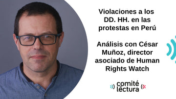 Violaciones a los DD.HH. en las protestas en el Perú